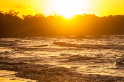 therapist in Long Island